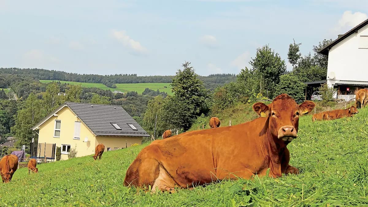 Warum ein Pachtvertrag qm preis für wiesengrundstück sinnvoll ist