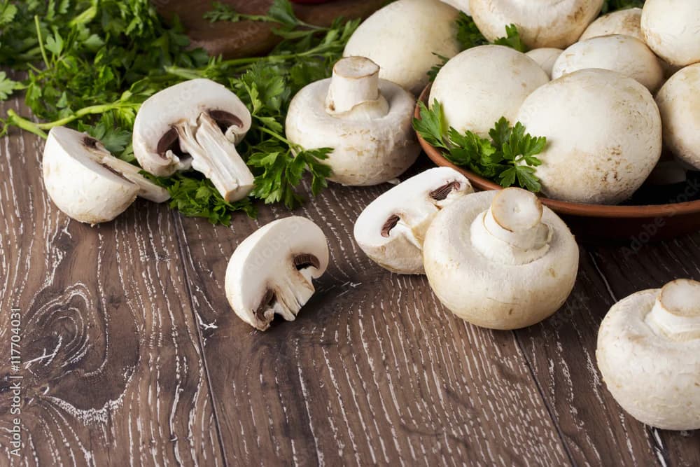 Frische Pilze erobern die Regale: Kundenzufriedenheit im Fokus
