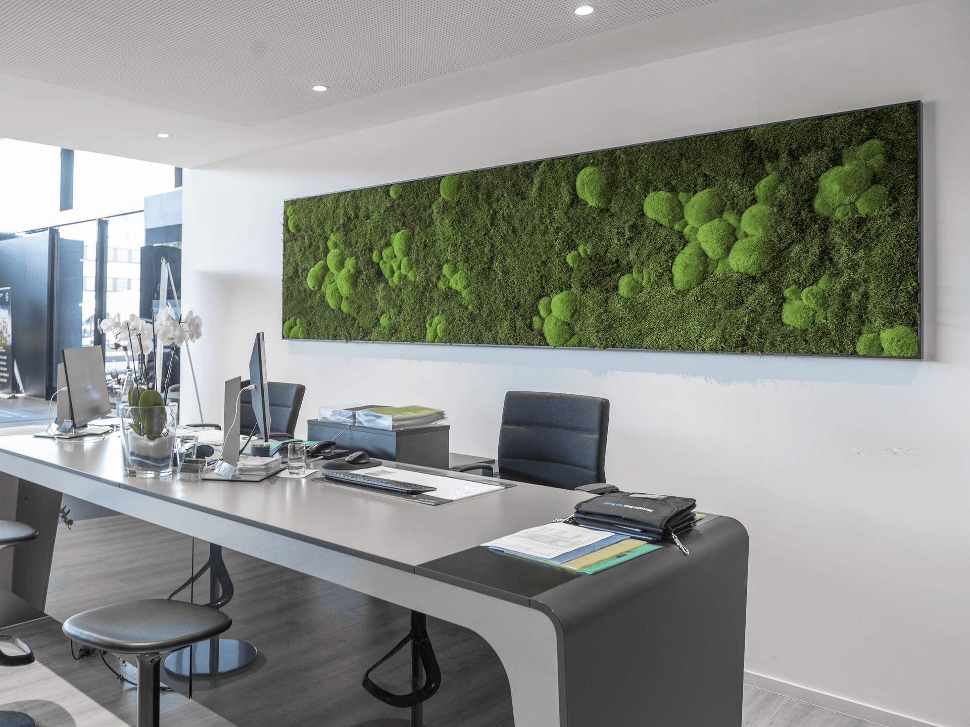 Warum ein Moosbild an der Wand ein Must-Have ist