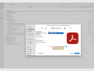 Adobe acrobat kaufen – Alle Premium-Funktionen inklusive