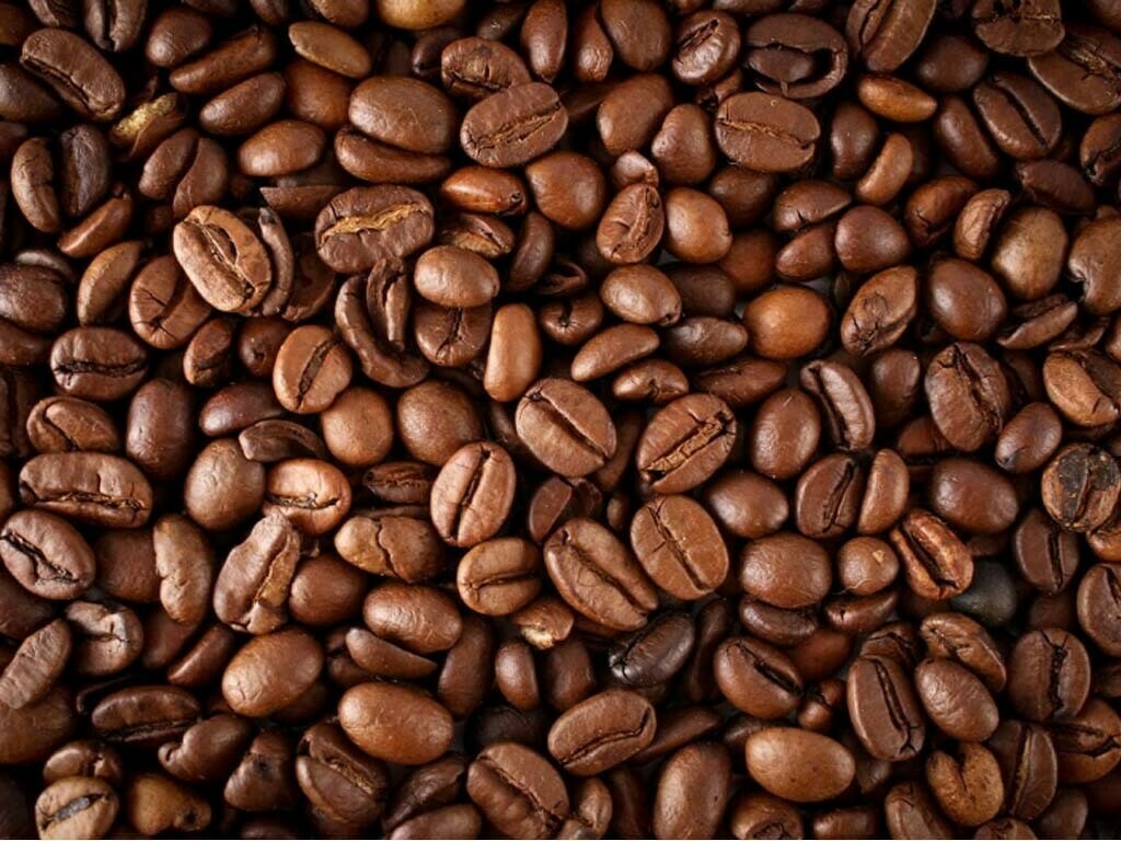 Maycoffee Musings: Wo Inspiration auf das perfekte Gebräu trifft