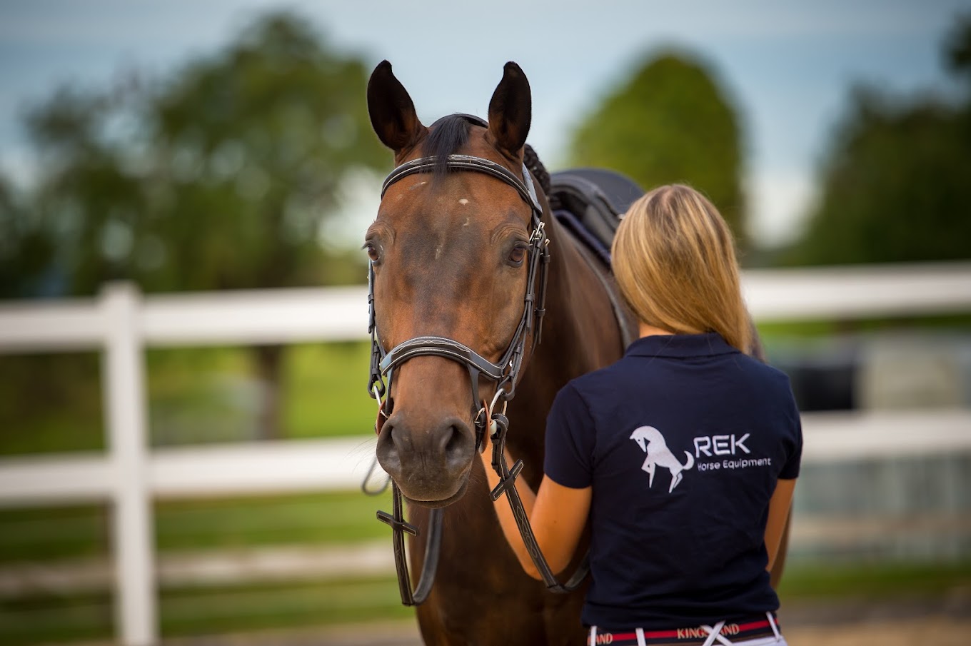 Entdecken Sie unseren Reitsportartikel Shop: Hochwertige Pferdeausrüstung online kaufen