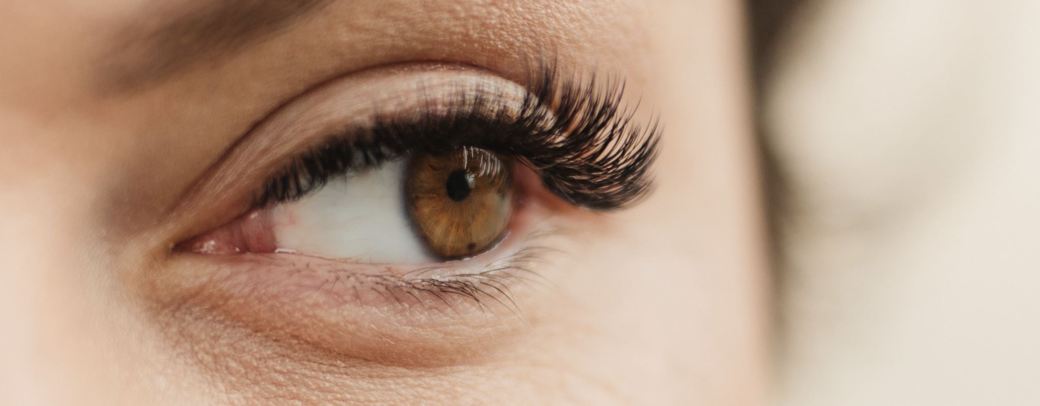 LashLink: Der beste Ort für langanhaltende Wimpern und perfekte Augenbrauen