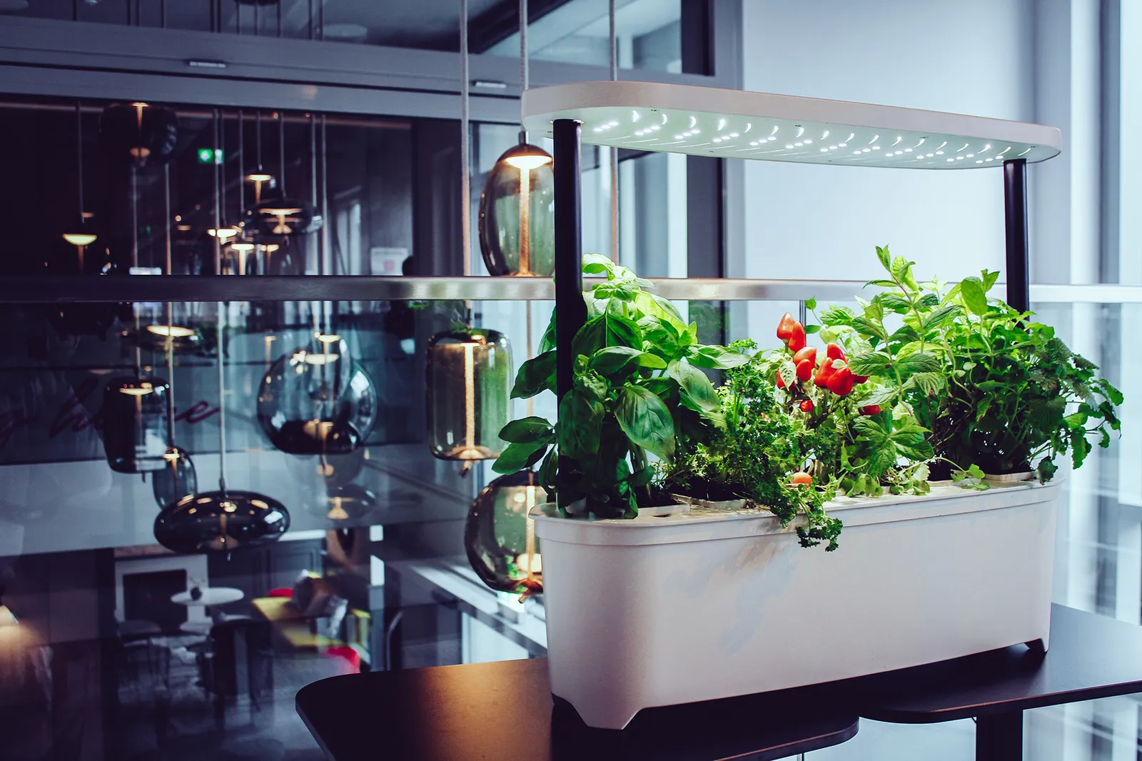 Nachhaltiger Indoor-Garten: Schritt-für-Schritt-Anleitung