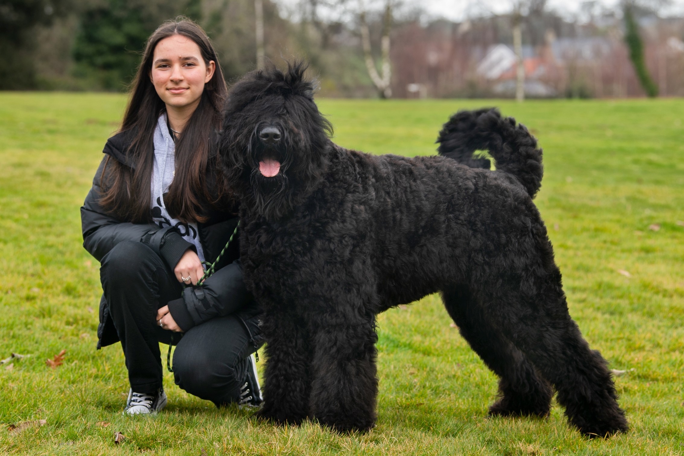 Warum der Schwarzer Russischer Terrier die perfekte Wahl für aktive Familien ist