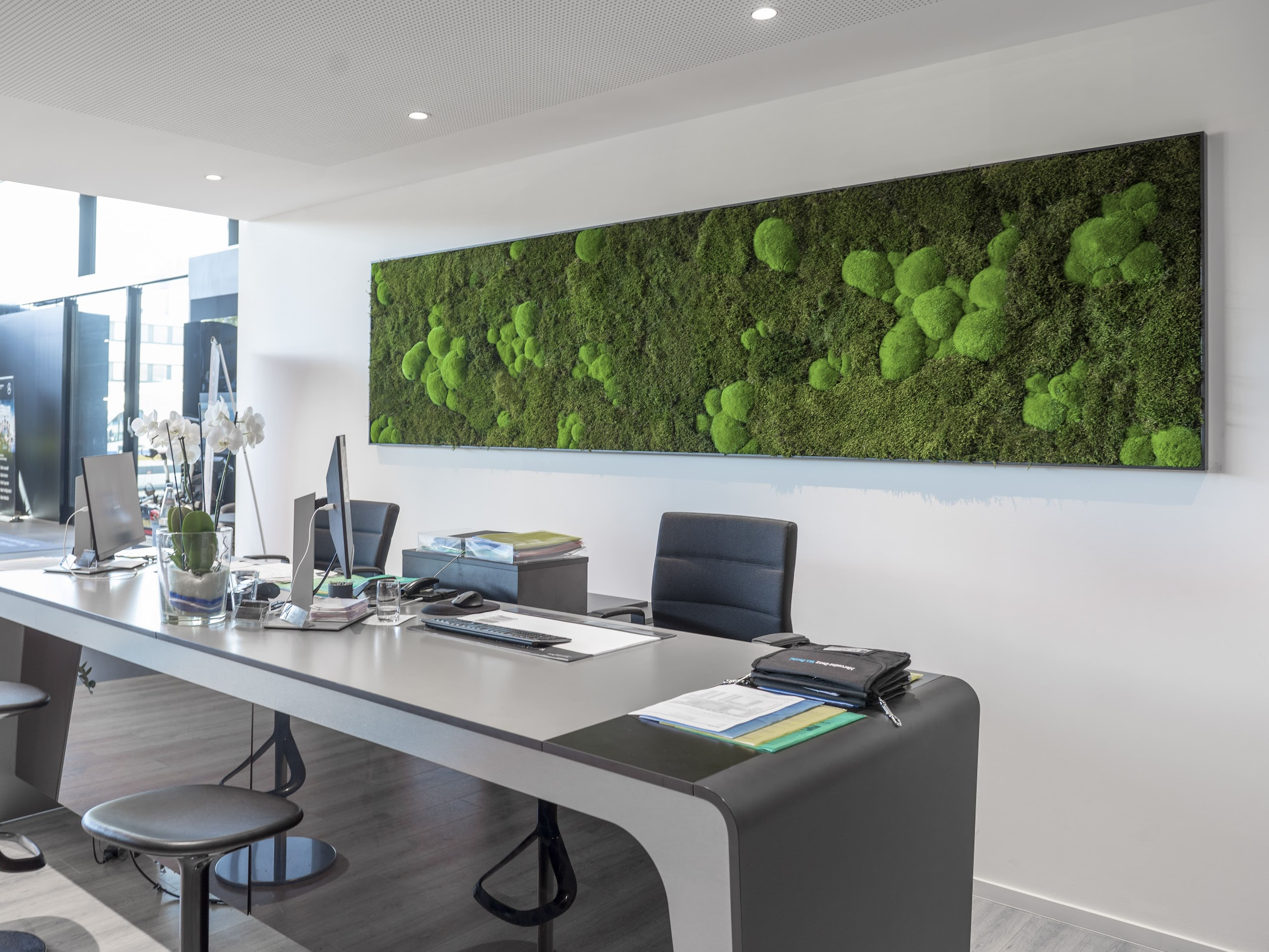 Warum ein Moosbild an der Wand ein Must-Have ist