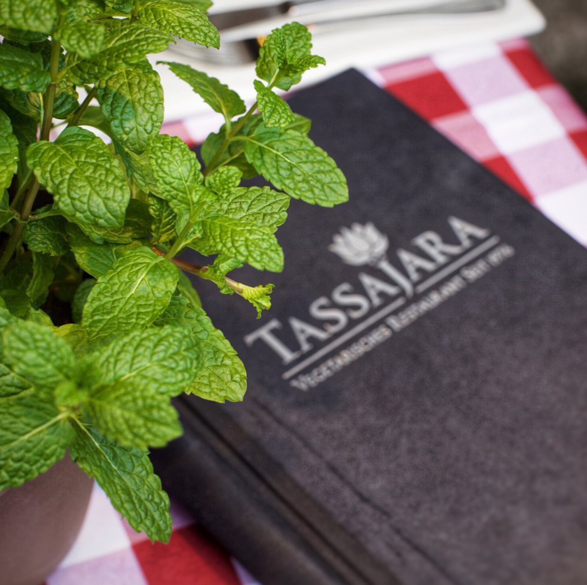 Entdecken Sie das beste gesunde vegane Mittagessen bei Tassajara: Hamburgs Top-Adresse für vegane Küche.