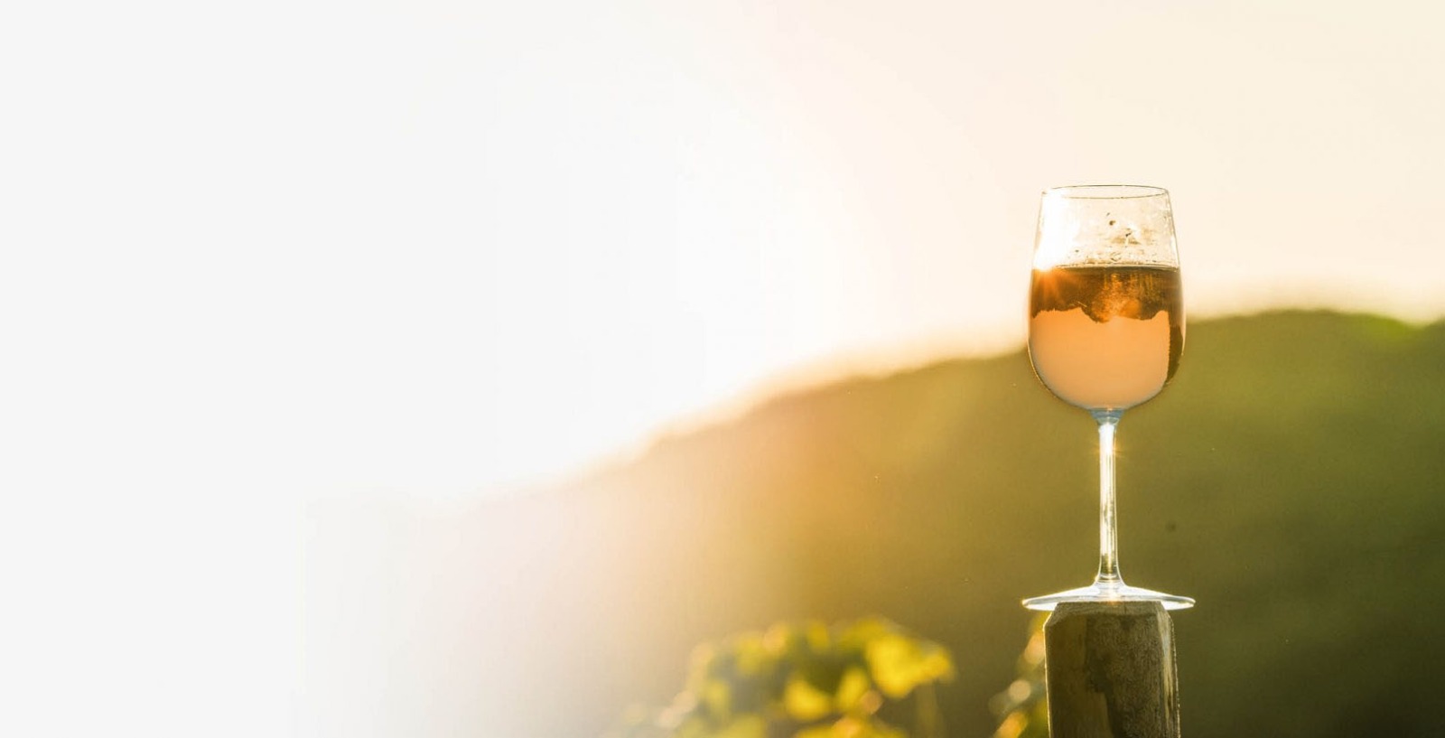 Weinversand für besondere Anlässe: Die besten Empfehlungen