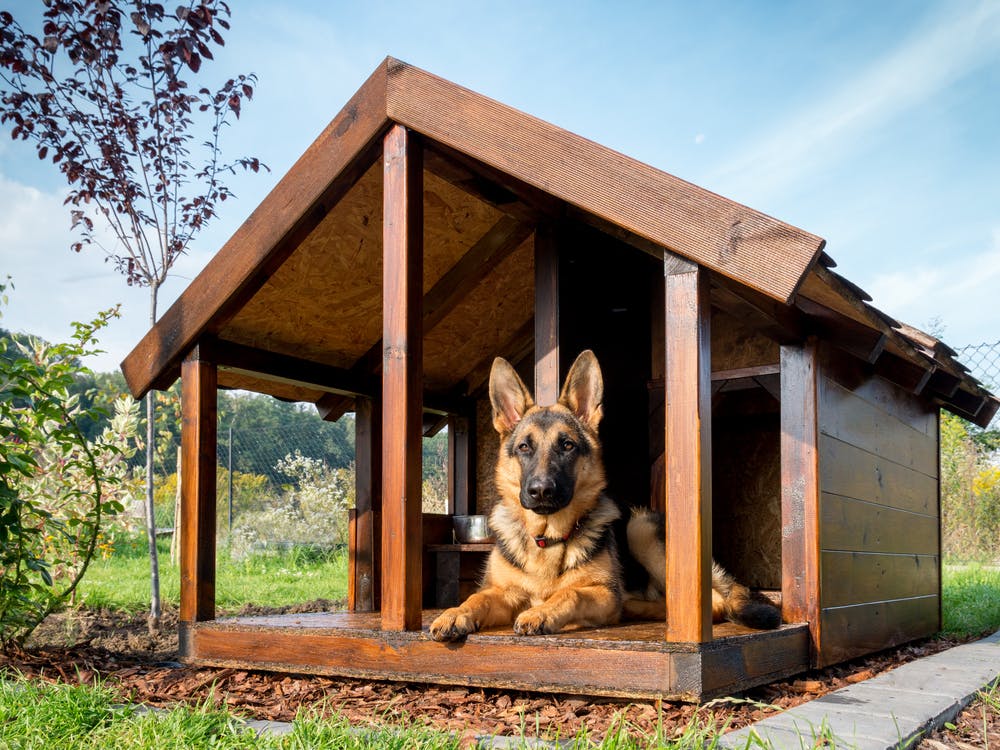Orthopädisches Hundebetten für den Sommer: Kühlende Optionen für heiße Tage