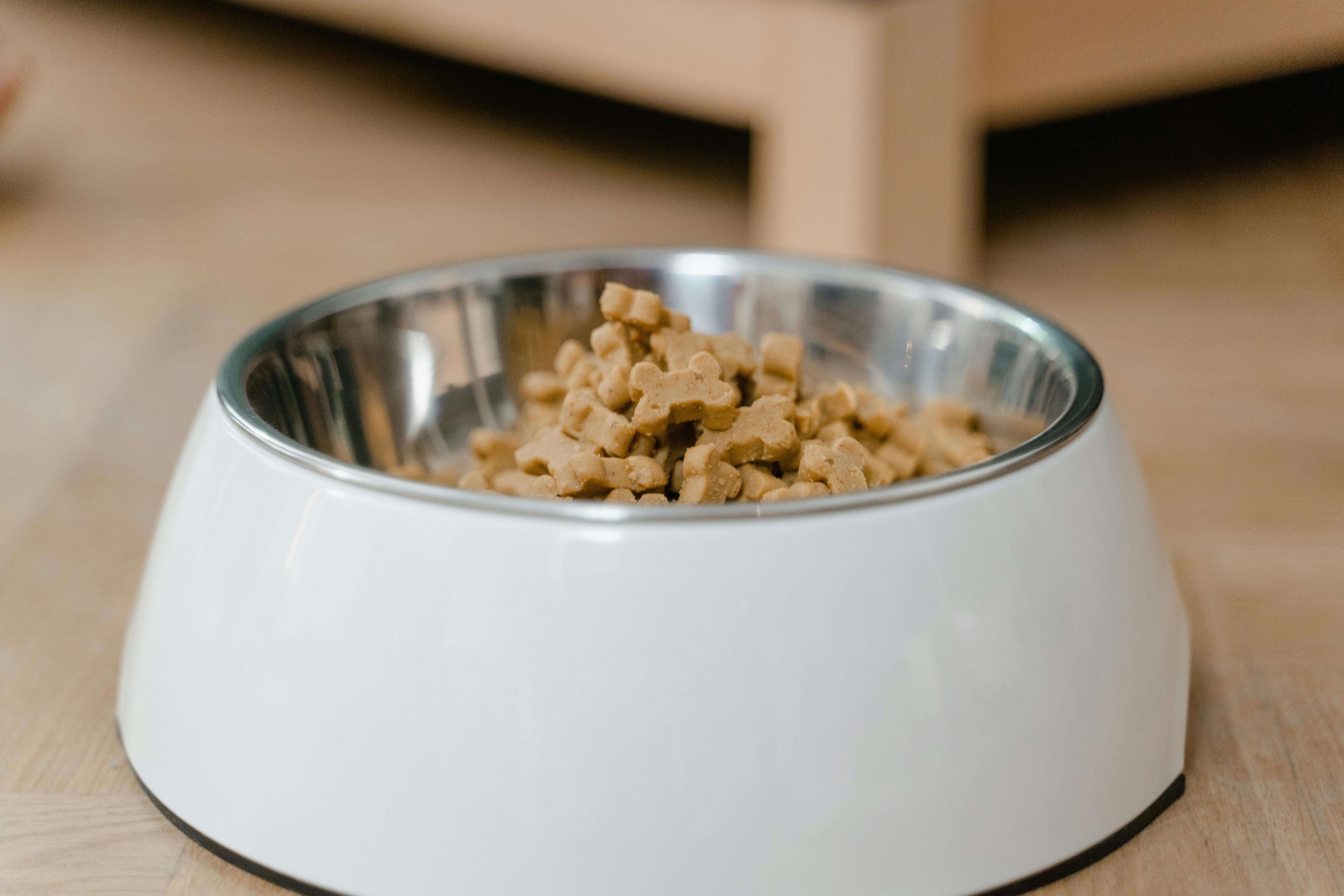 Ollie Dog Food Complaints: Pros and Cons