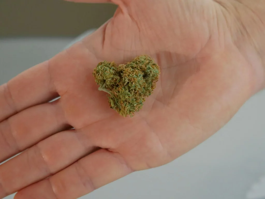THCA Blüten richtig verwenden: Tipps und Tricks