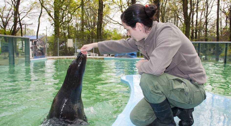 Tierpfleger: Einblick in die vielfältige Arbeit mit Tieren